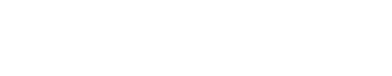 PioneersIT